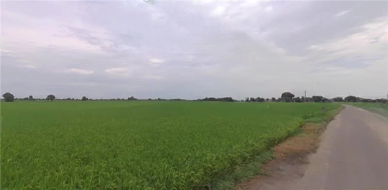 Jagdev Kalan, Punjab 143101, India preview 2