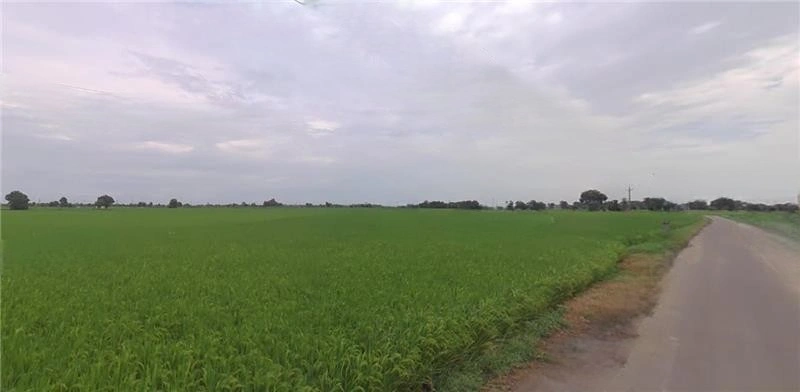 Jagdev Kalan, Punjab 143101, India