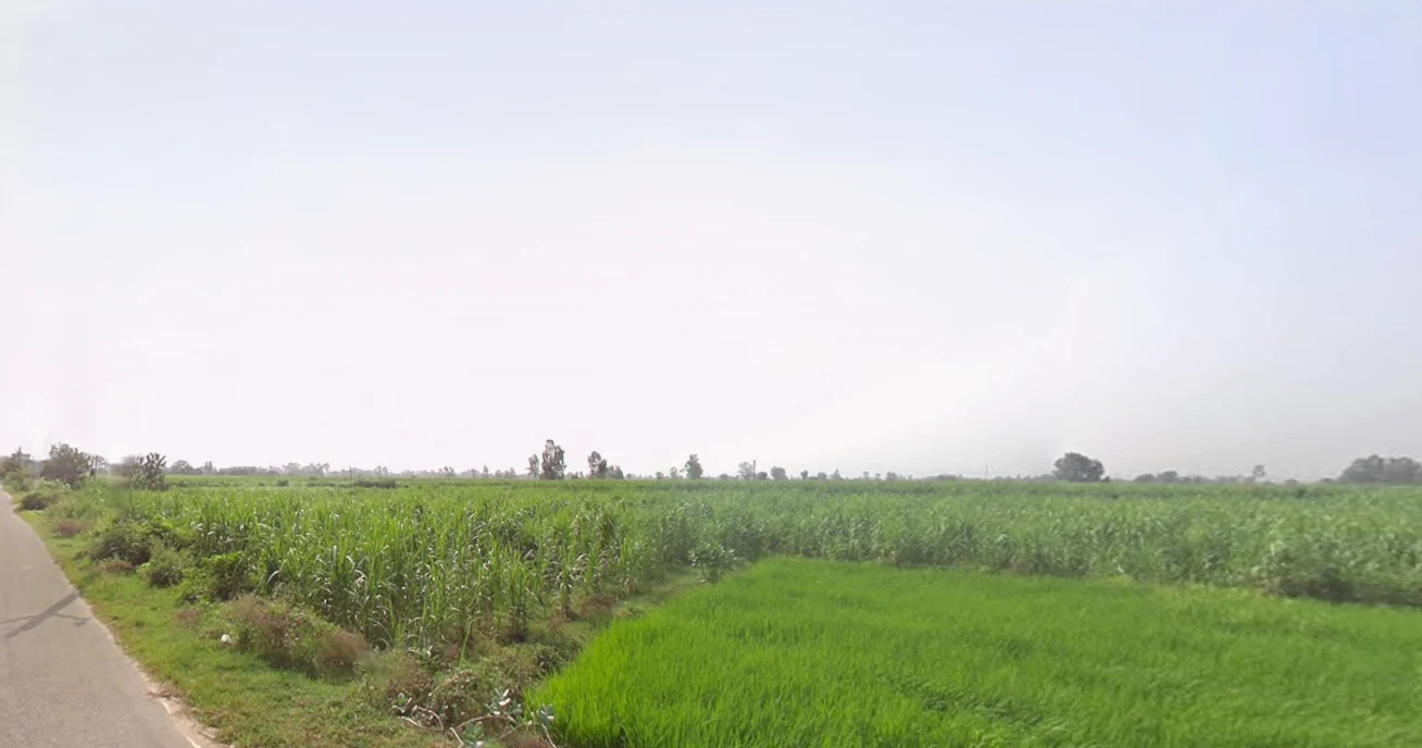 Jatpura, Uttar Pradesh 244601, India preview 2