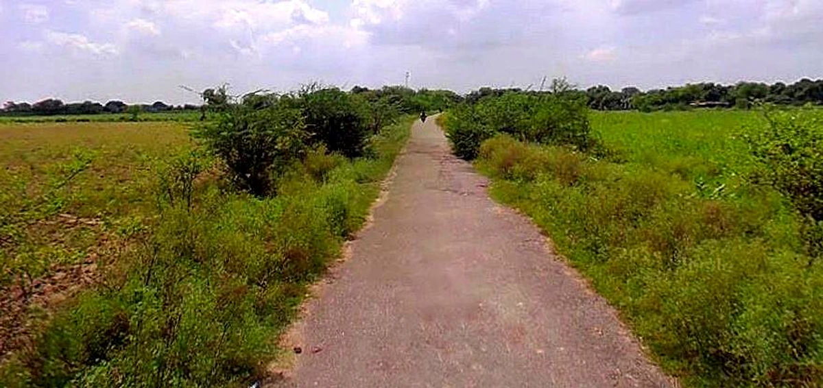 Barsana, Uttar Pradesh 281405, India