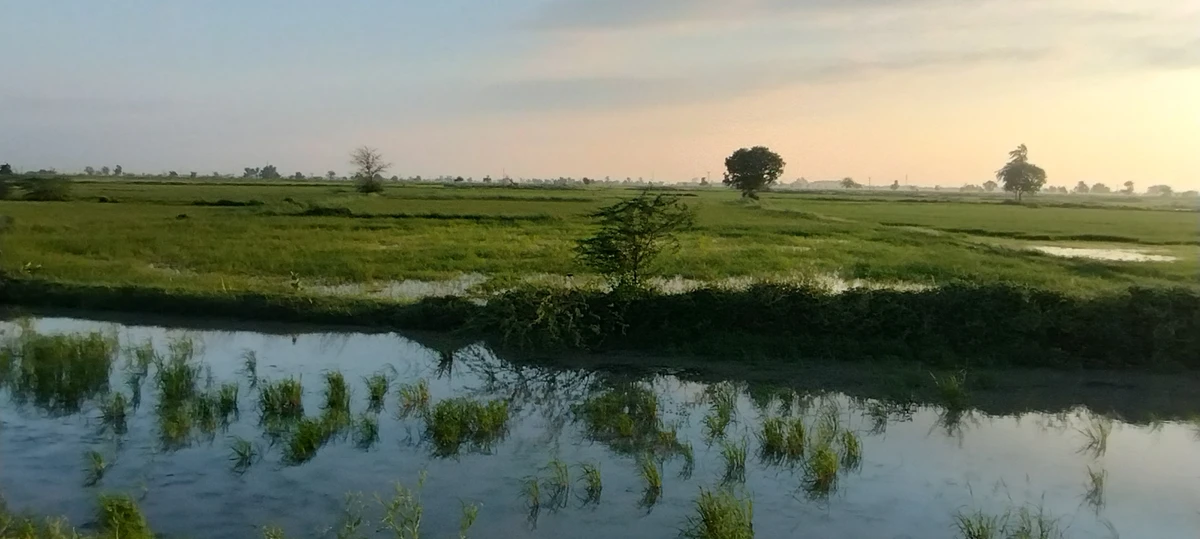 Helak, Rajasthan, India