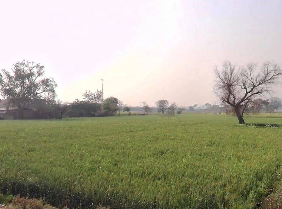 Seetal, Rajasthan 301021, India