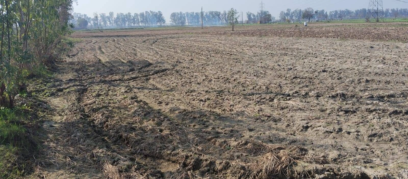 Bagru, Haryana, India