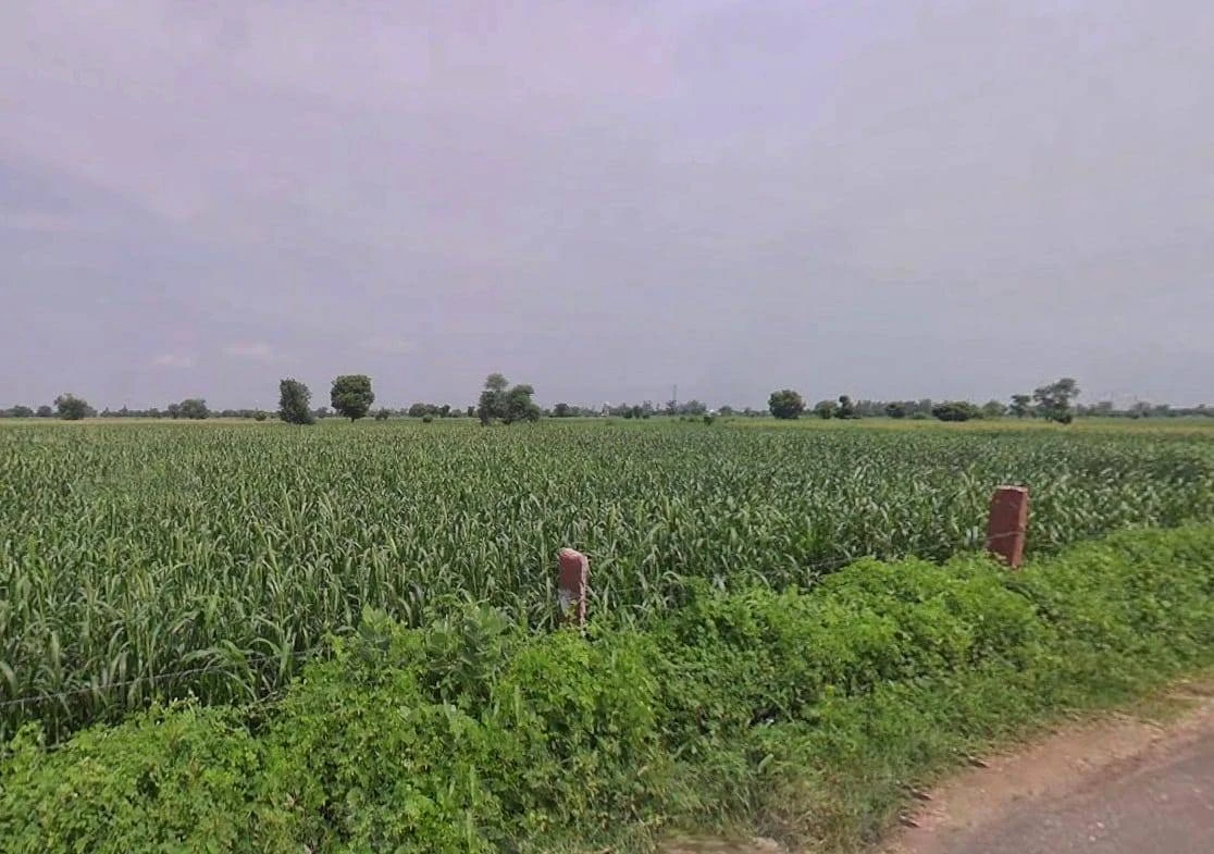 Manoharpur, Rajasthan 303104, India