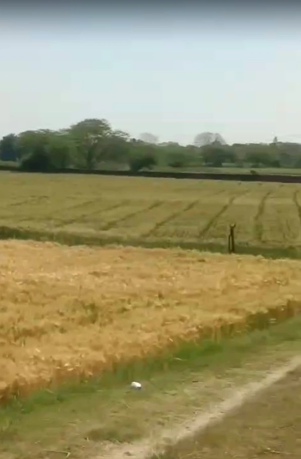 Ratanpur Ki Sarai, Rajasthan 313601, India preview 2