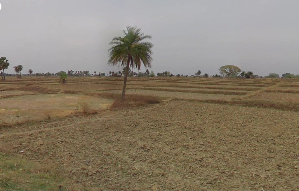 VGPR+436, Bemetara, Gopal Bhoyina, Chhattisgarh 491337, India