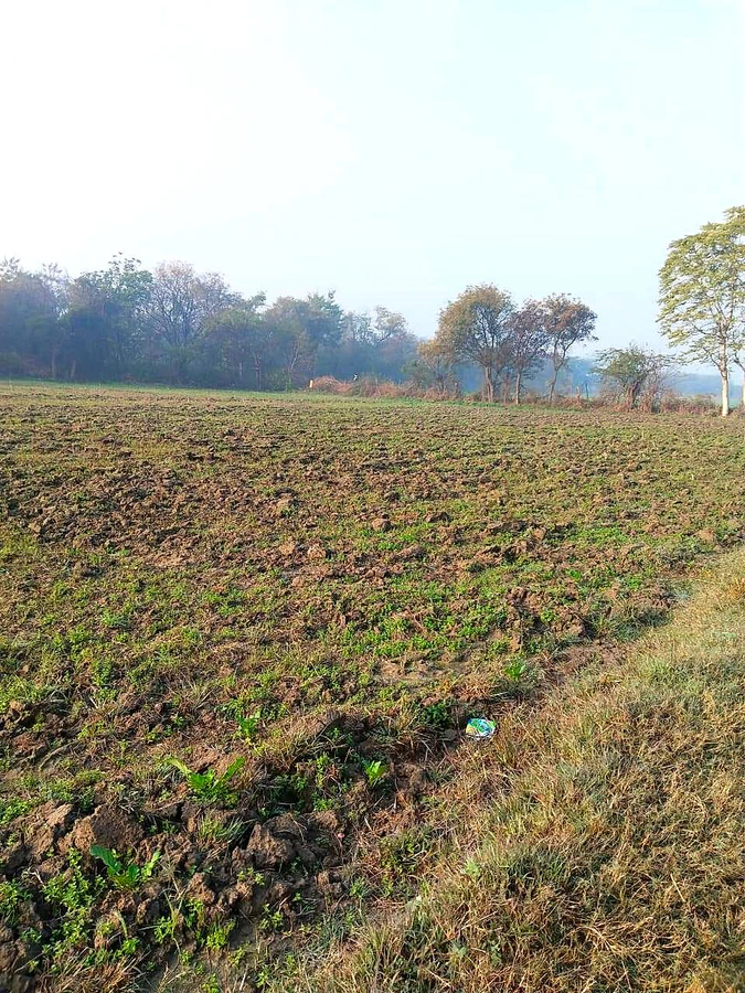 Issapur, Delhi, 110073, India