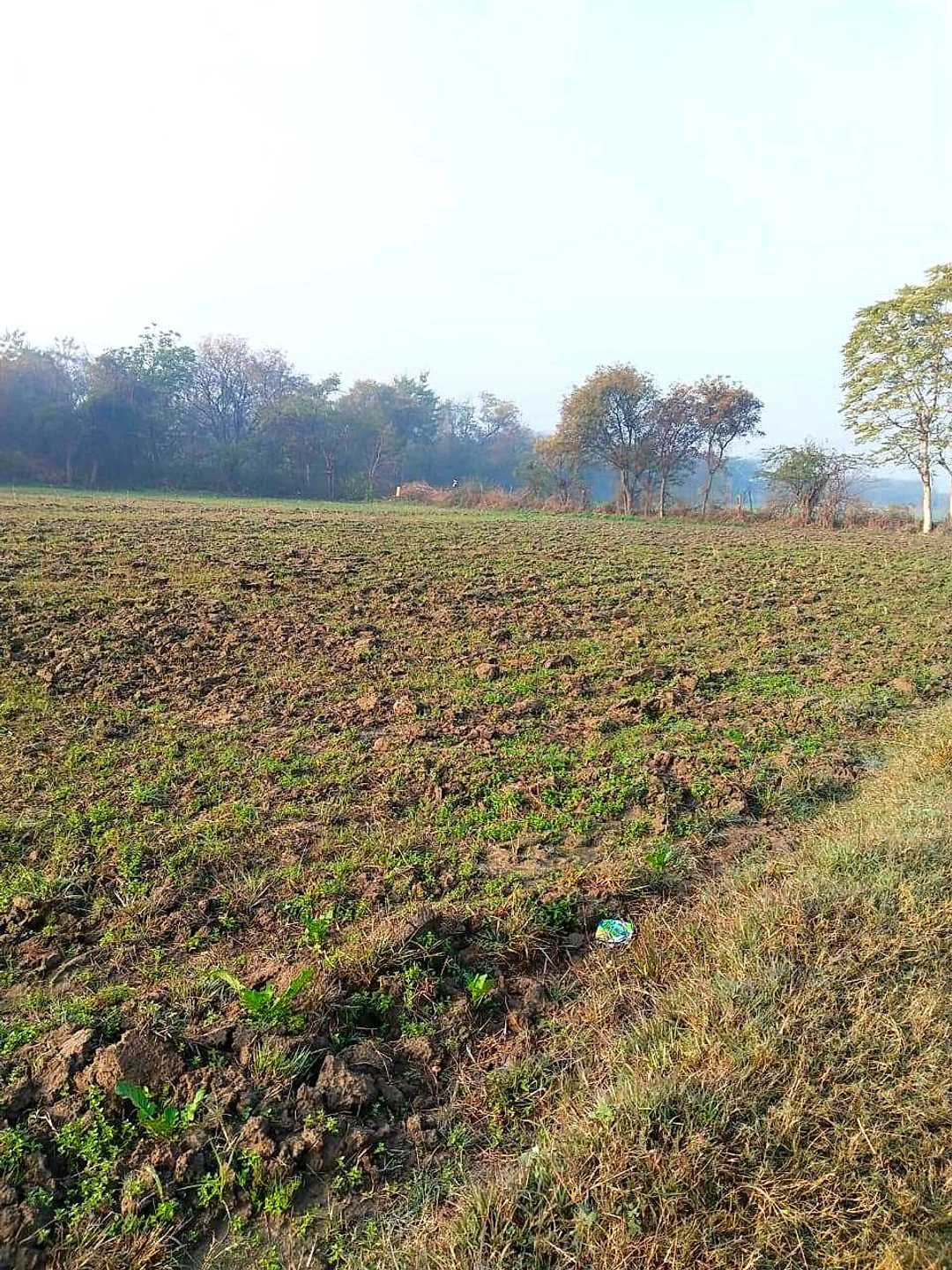 Issapur, Delhi, 110073, India