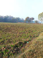 Issapur, Delhi, 110073, India preview 5