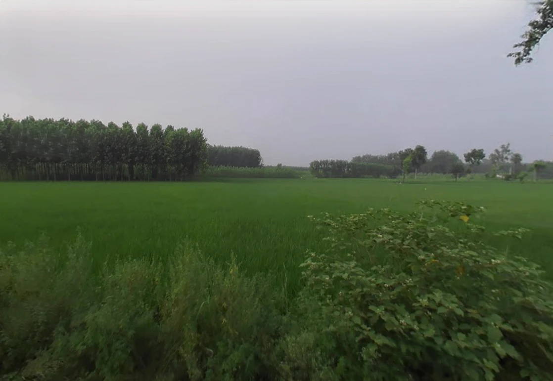 Abdullapur Mazara Naugaun, Uttar Pradesh 247121, India