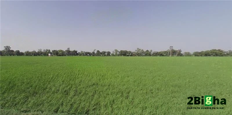 Samain, Haryana, India