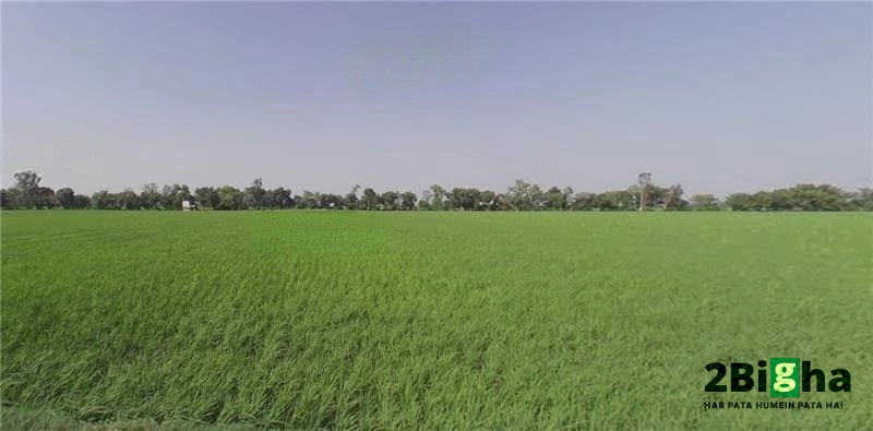 Samain, Haryana, India