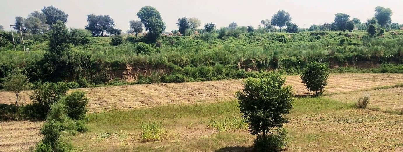 Morni Hills, Panchkula, Haryana, India
