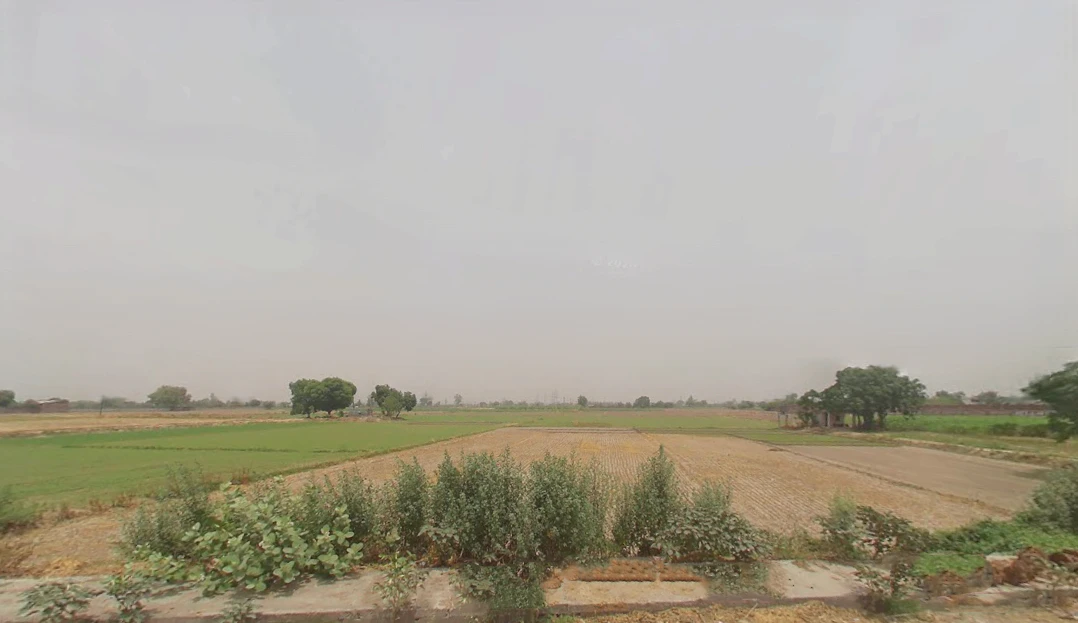 Larsauli, Haryana 131039, India