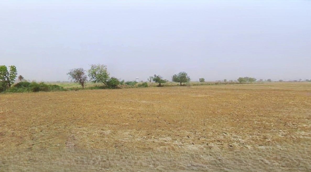 Barnagar, Madhya Pradesh 456771, India