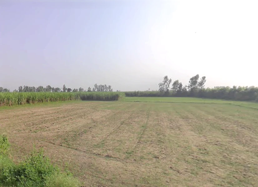 Hasanpur, Uttar Pradesh 244241, India