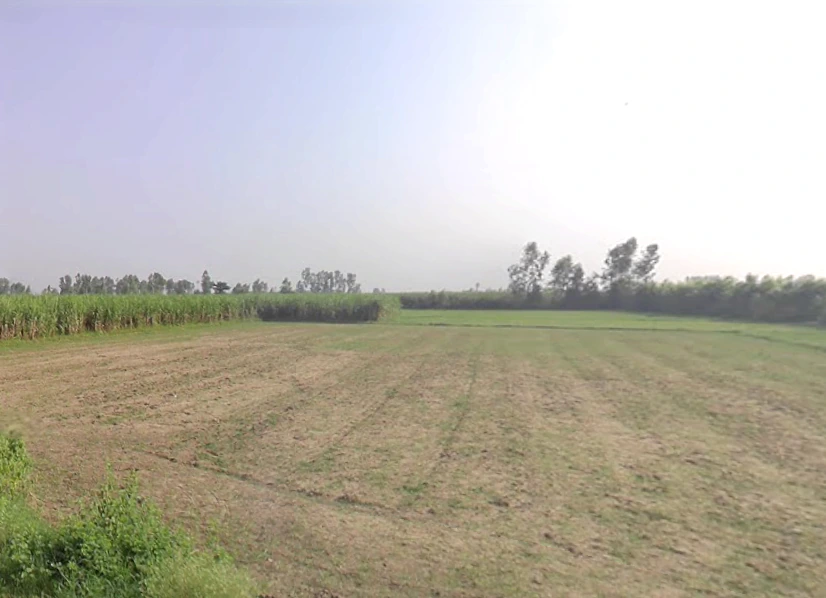 Hasanpur, Uttar Pradesh 244241, India