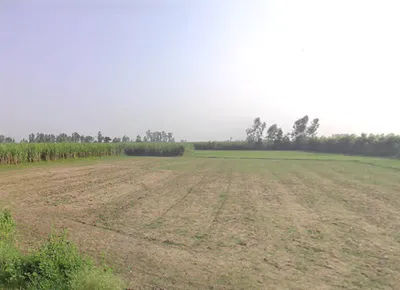 Hasanpur, Uttar Pradesh 244241, India preview 2