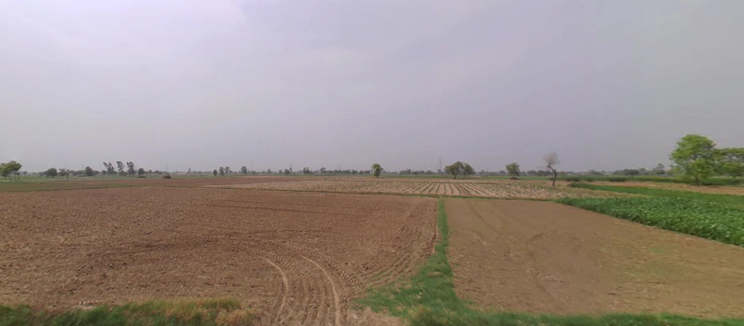 Uklana Rural, Haryana 125113, India