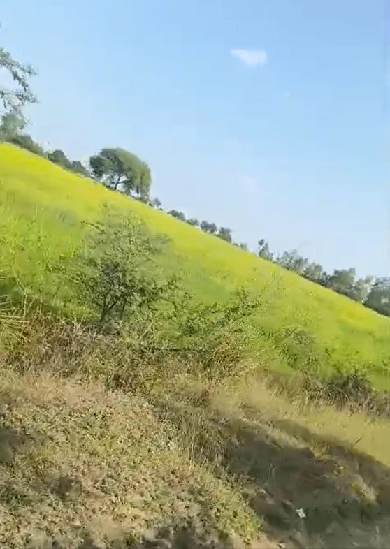 Pipariya, Vidisha, Madhya Pradesh, India
