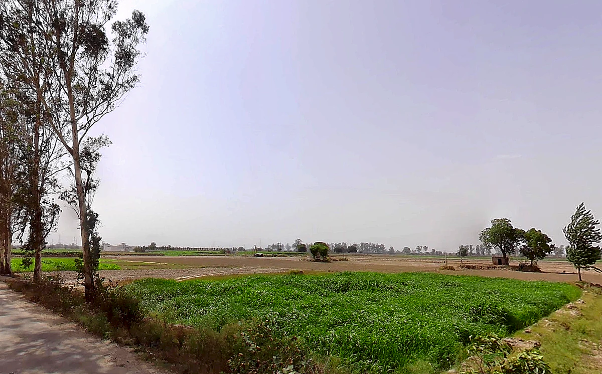 Bapauli, Haryana 132104, India