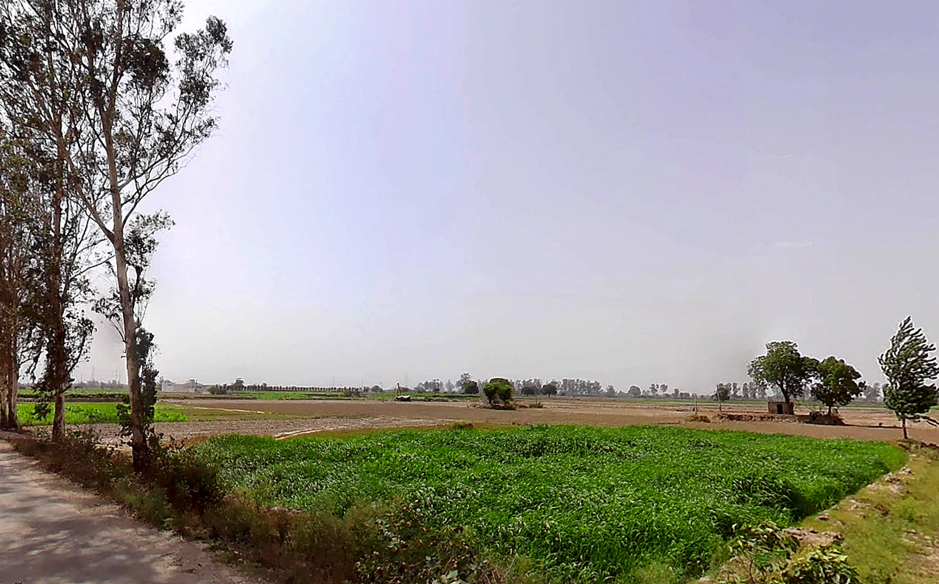 Bapauli, Haryana 132104, India