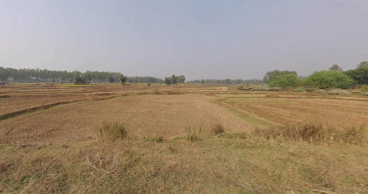 Makurgram, West Bengal 722176, India preview 3