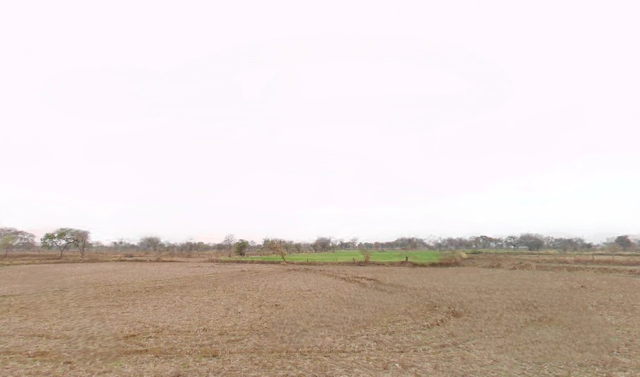 Suhela, Chhattisgarh 493195, India