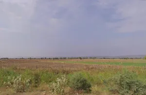 Bakatra-1, Chhattisgarh 492101, India preview 2