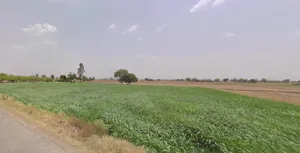 Rampura, West Bengal 721301, India preview 3