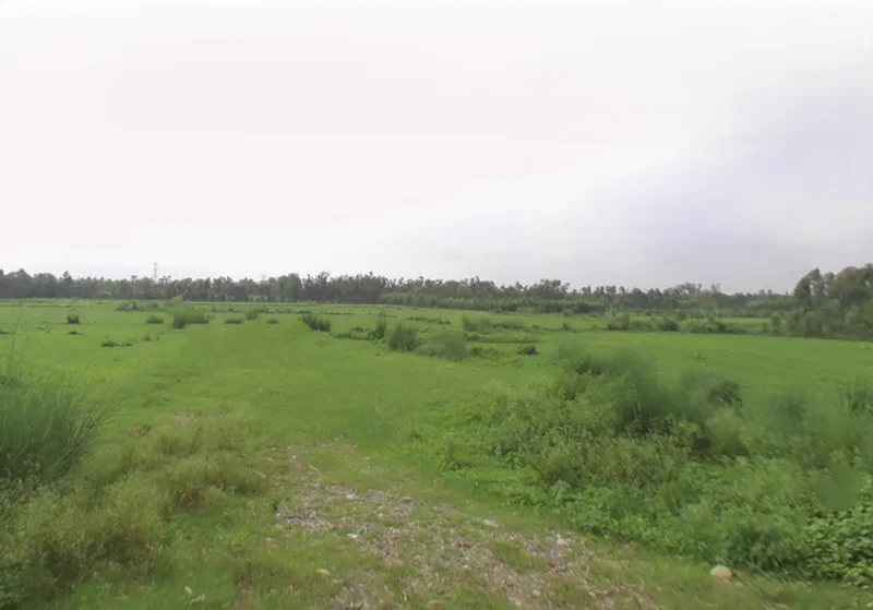 Badshahibagh, Uttar Pradesh 247122, India preview 2