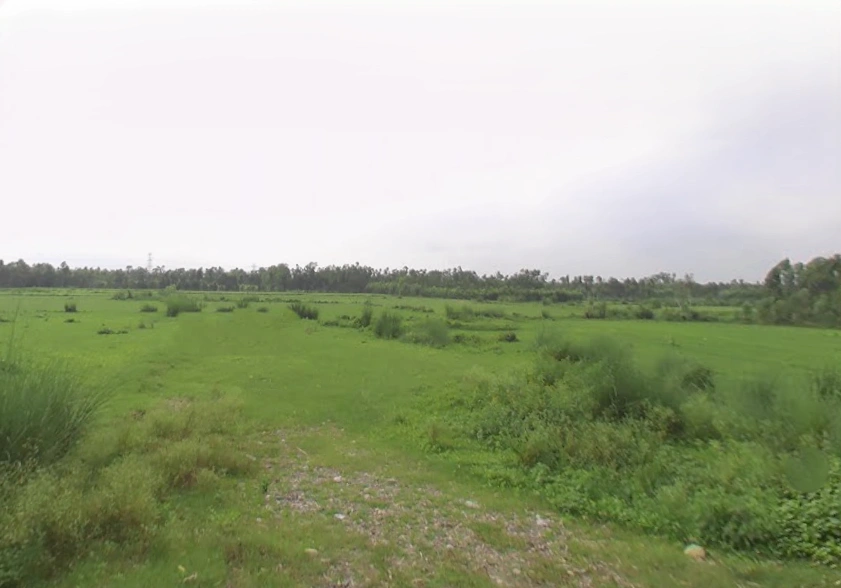 Badshahibagh, Uttar Pradesh 247122, India