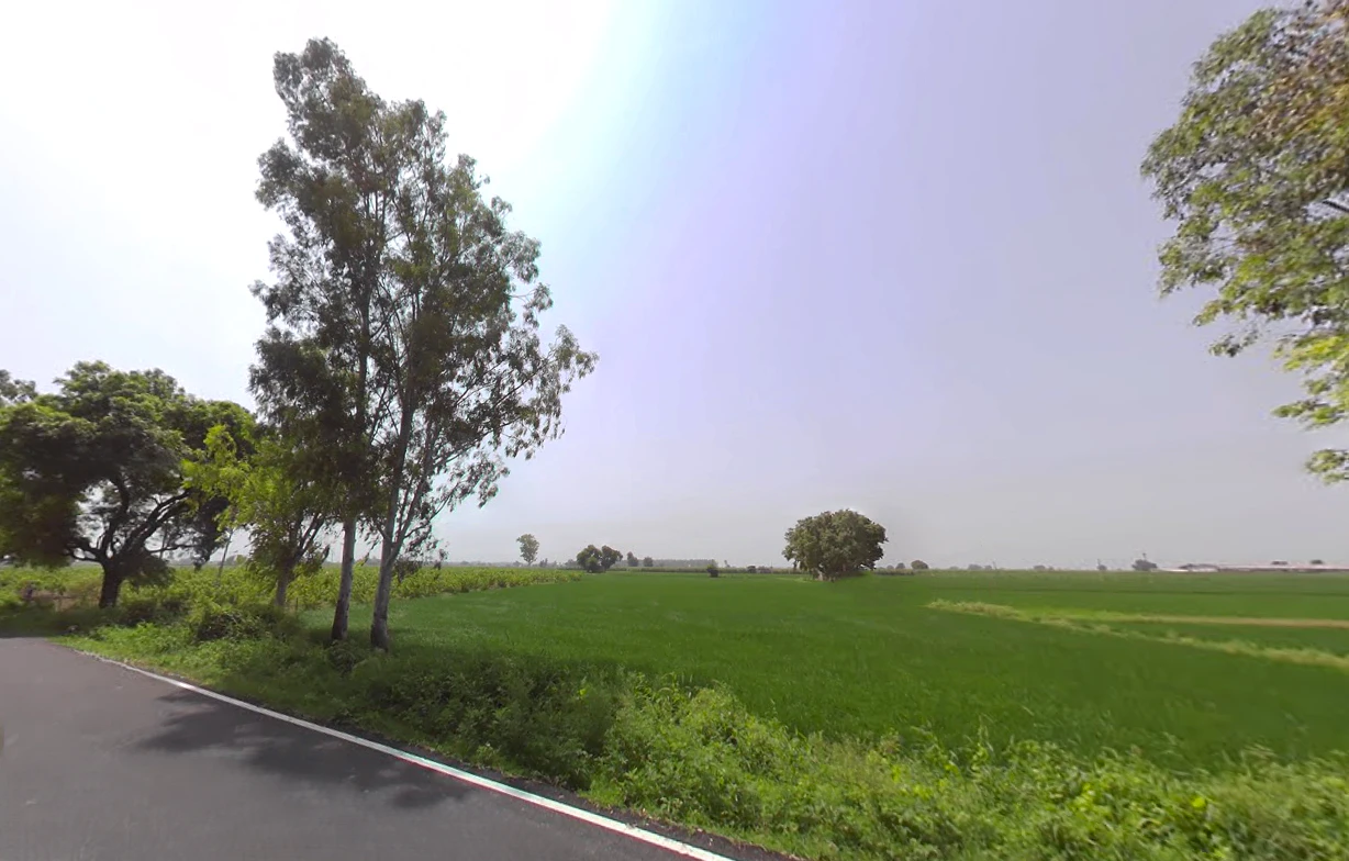 Jorasi, Haryana 132101, India