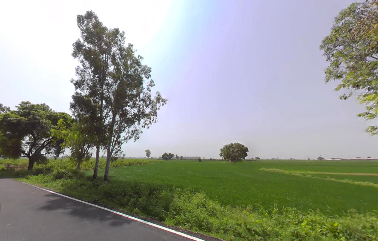 Jorasi, Haryana 132101, India
