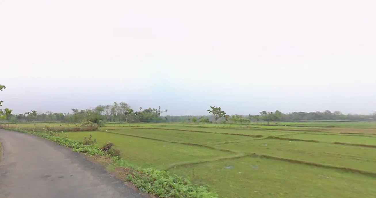 MQ77+P8R, NH 31, Dakshin Chak Maulani, Moulani, West Bengal 735302, India