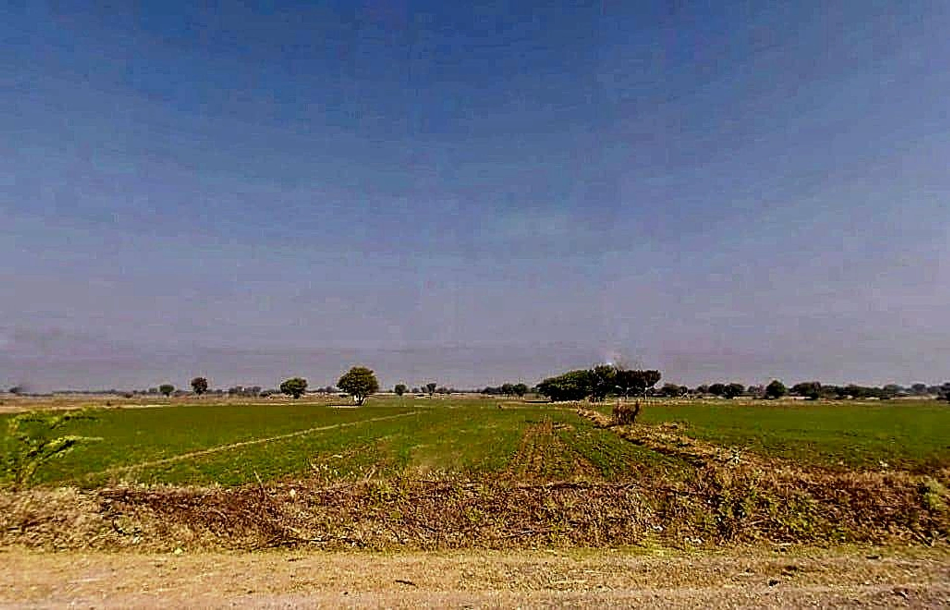 Naraina, Rajasthan 303348, India