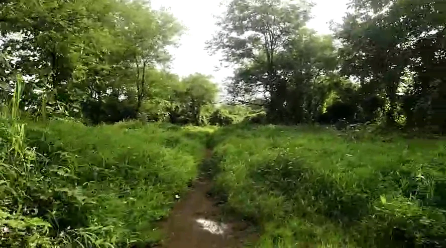 MXW7+XGJ, Palghar, Hamarapur, Maharashtra 421303, India
