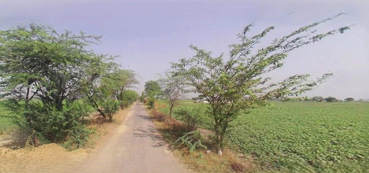 Ramnagar, Uttarakhand 244715, India