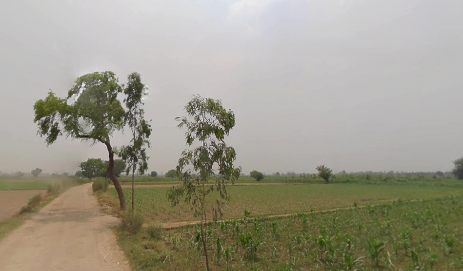 Mawana, Uttar Pradesh, India