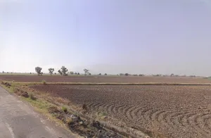 Amdanga-Bira Rd, West Bengal, India preview 2