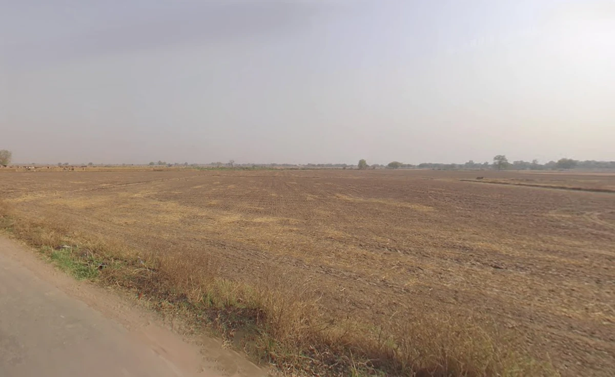Farukh Nagar, Haryana 122506, India