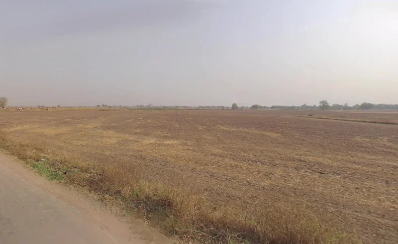 Farukh Nagar, Haryana 122506, India preview 3