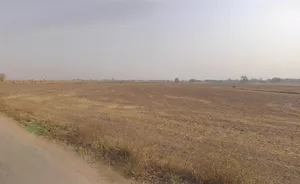 Farukh Nagar, Haryana 122506, India preview 3