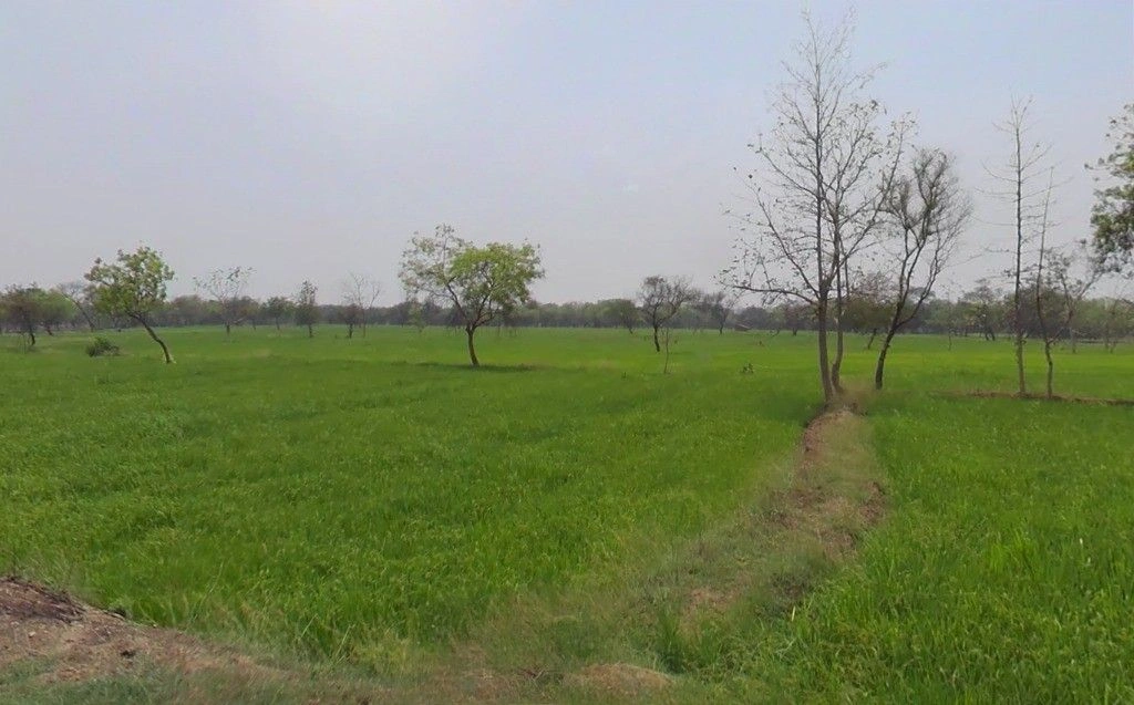 Jhulna, Chhattisgarh, India preview 2