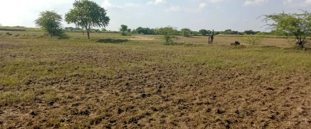 Barnagar, Madhya Pradesh 456771, India