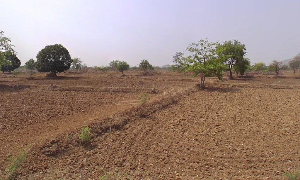 Bargaon, Chhattisgarh 491332, India