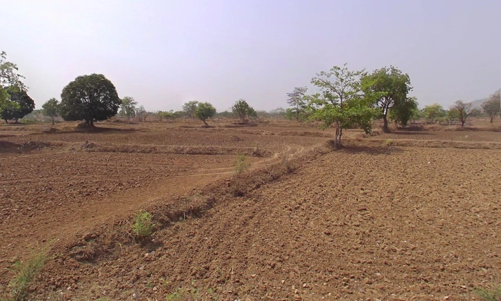 Bargaon, Chhattisgarh 491332, India