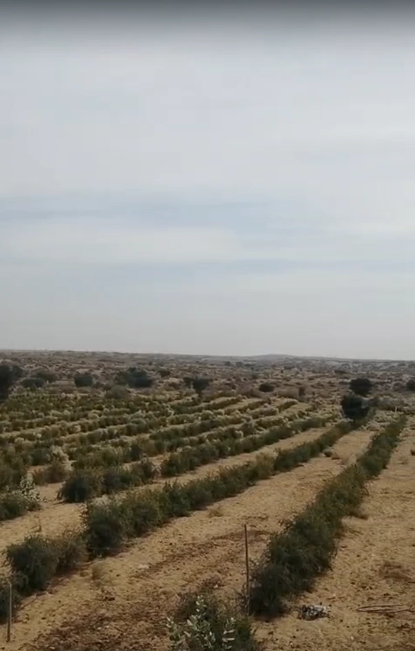 Poogal, Rajasthan 334808, India