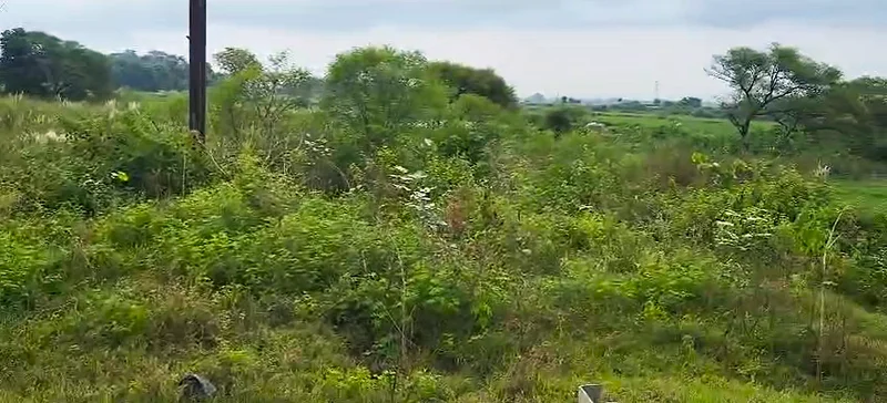 Kanchi, Jharkhand 835204, India preview 3