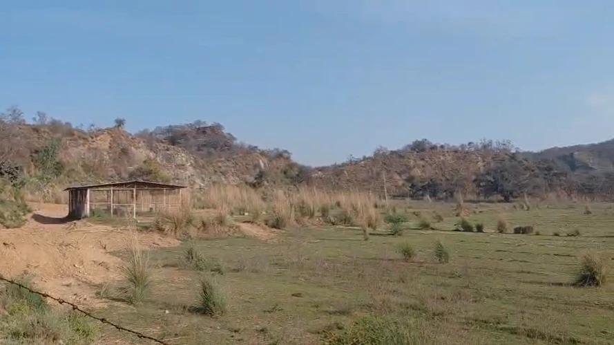 Raipur Rani, Haryana 134204, India